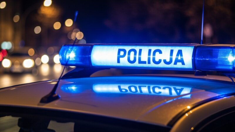 Trzeźwość na drodze – szkolenie dla policjantów z Mazowsza”