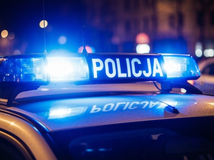 Policja przechwyciła 125 tys. papierosów z nielegalnego przemytu