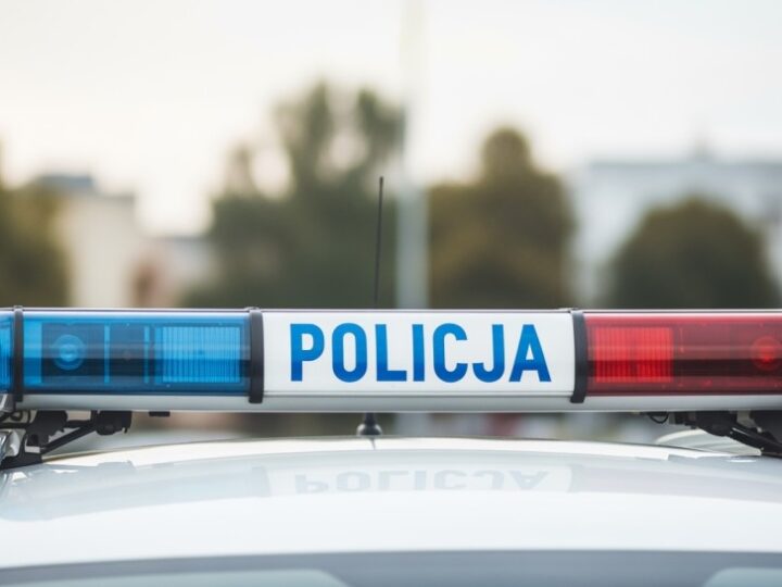 Oszustwo w sieci: Mężczyzna stracił 1300 zł na zamówieniu pelletu drzewnego